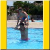 150731-3420.jpg