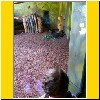 150813-3537.jpg