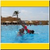 160801-3862.jpg