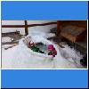 180221-4282.jpg