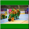 180527-4415.jpg